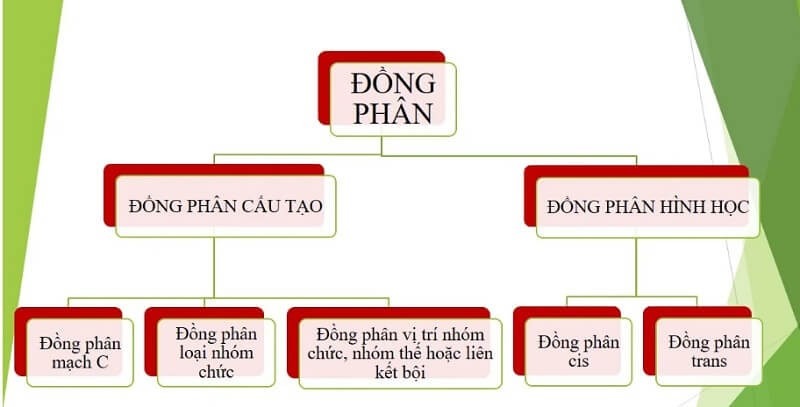  Đồng phân là gì? Tính chất và ứng dụng